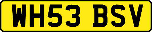 WH53BSV
