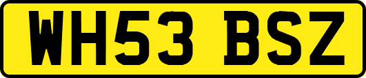 WH53BSZ