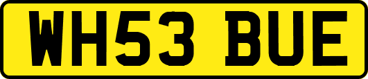 WH53BUE
