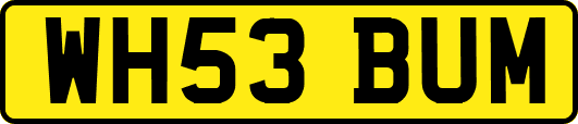 WH53BUM