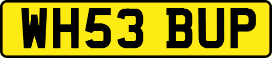WH53BUP