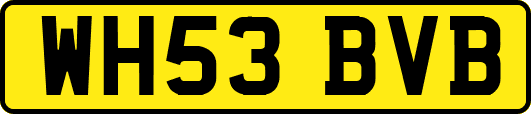 WH53BVB