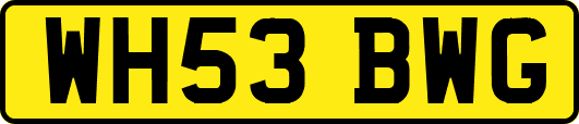 WH53BWG