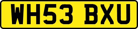 WH53BXU