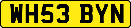WH53BYN