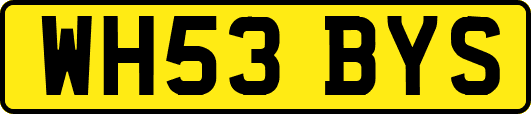 WH53BYS