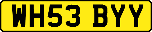 WH53BYY