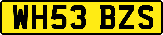 WH53BZS