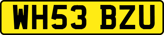 WH53BZU
