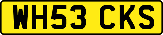 WH53CKS