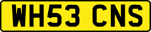 WH53CNS