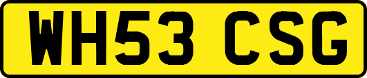 WH53CSG