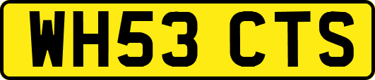 WH53CTS