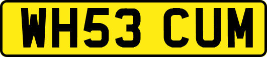 WH53CUM