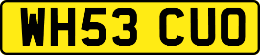 WH53CUO