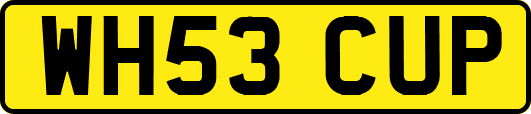 WH53CUP