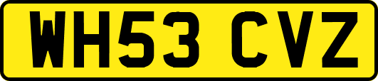 WH53CVZ