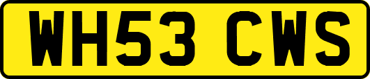 WH53CWS