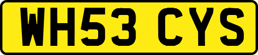 WH53CYS