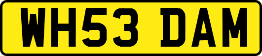 WH53DAM