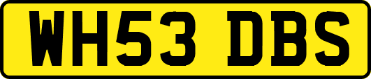 WH53DBS