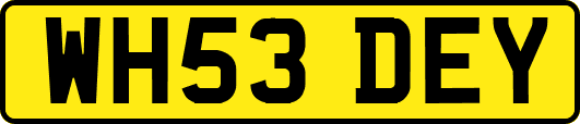 WH53DEY