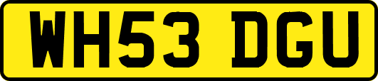 WH53DGU