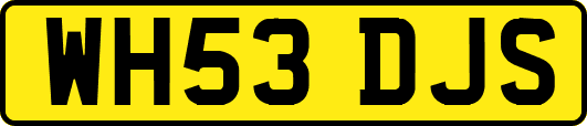 WH53DJS