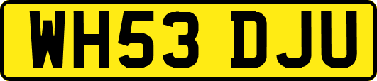 WH53DJU