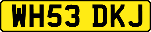 WH53DKJ