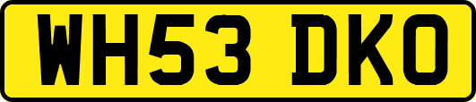 WH53DKO
