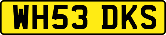 WH53DKS