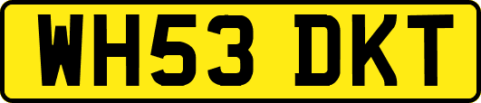 WH53DKT