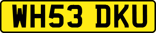 WH53DKU