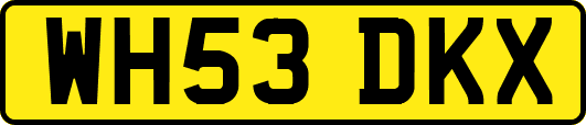 WH53DKX