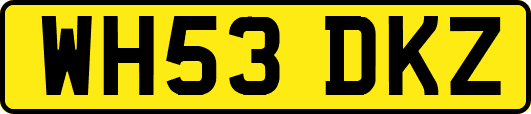 WH53DKZ