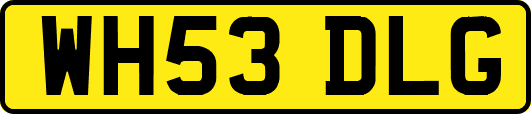 WH53DLG