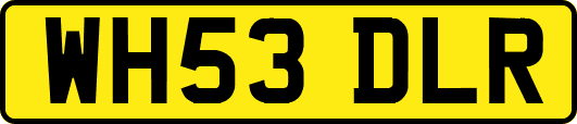 WH53DLR