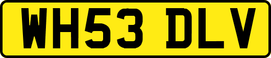 WH53DLV