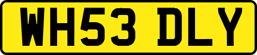 WH53DLY