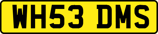 WH53DMS