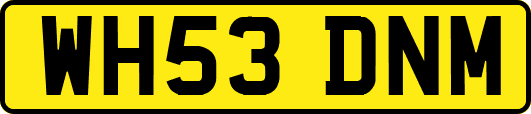 WH53DNM