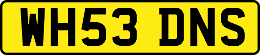 WH53DNS