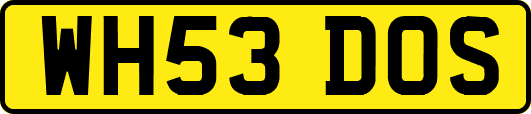 WH53DOS