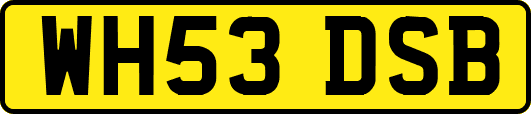 WH53DSB