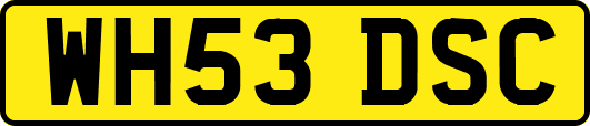 WH53DSC