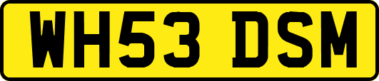WH53DSM