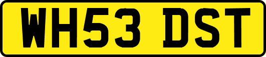 WH53DST