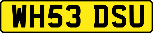 WH53DSU