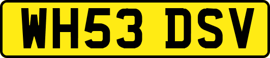 WH53DSV